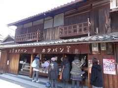 �L������̌F���َq�X�ւ̓��e�ʐ^1