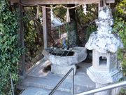 ���ڂ炳��̏���_�Ђ̓��e�ʐ^6