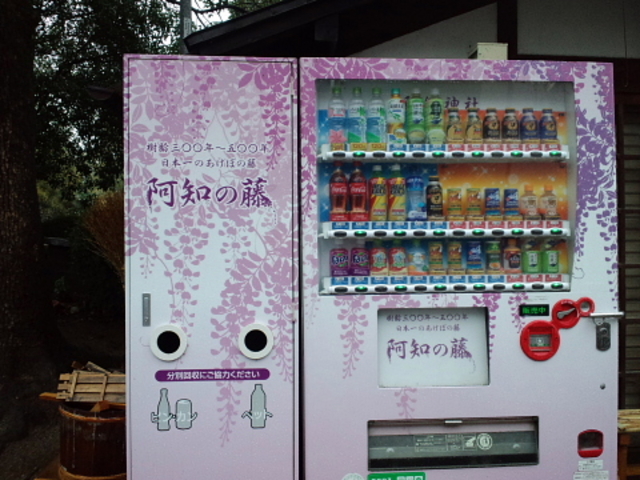 ���̉Ԃ��f�G�݂����ł���_���q�_��