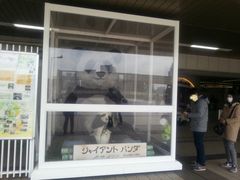 `[k񂁂KXp[񂳂̂iqwւ̓eʐ^3