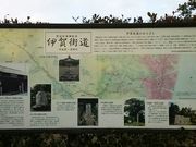 ڂ炳̕Ɣ˓`n̓eʐ^3