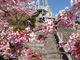 yakunさんの御立岬公園の投稿写真2