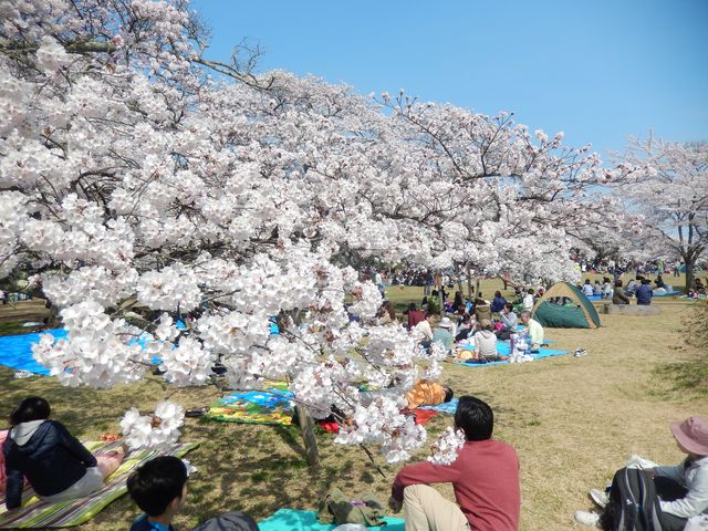 �Ԍ����y���ސl�X_�O�_�������̍�