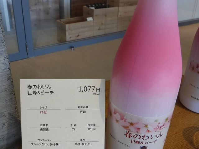 ut̂킢v&s[`_}X⃏Ci[