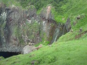 ɂǂ񂳂̒mRZ^[̓eʐ^1