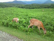 ɂǂ񂳂̒mRZ^[̓eʐ^2