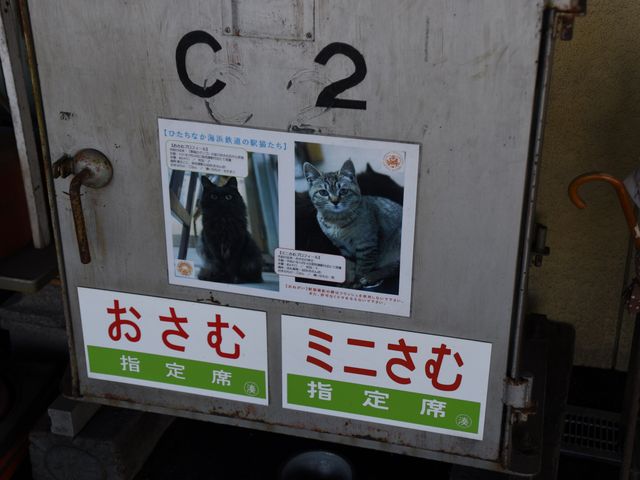 ތNƃ~jނłBȂEEEB_߉ϖw