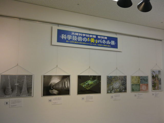 ȊwZpuvƂϓ_猩B_ȊwZp