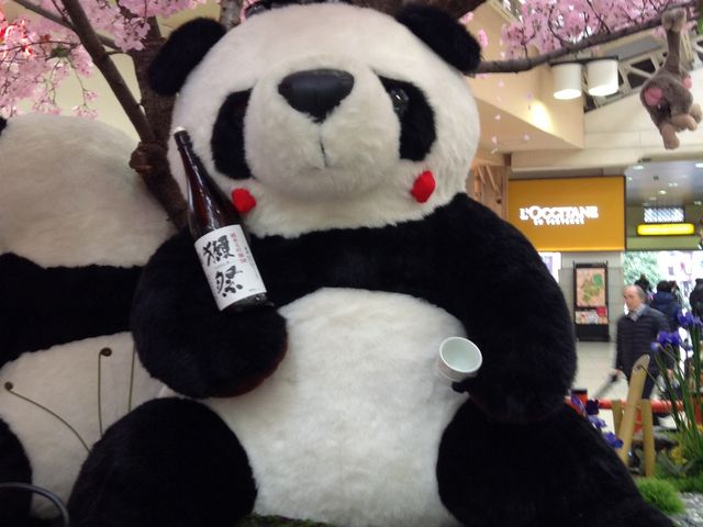 �����Ă܁[��_���w�W���C�A���g�p���_��