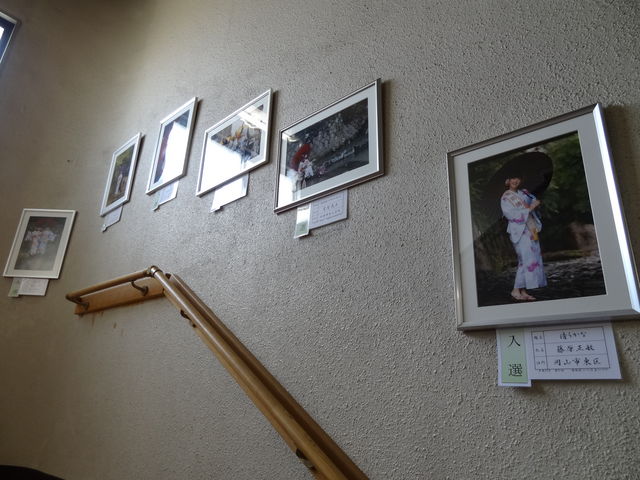 �K�i�̕ǁ@���O�ď����̎ʐ^�W_���O�ē`���Y�Ɖ��