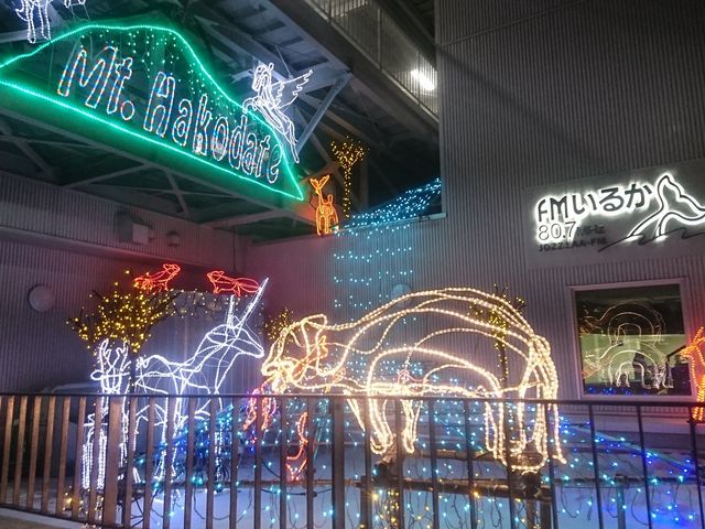 �������̃C���~�l�[�V���������ꂢ�ł����B_���َR���[�v�E�F�C