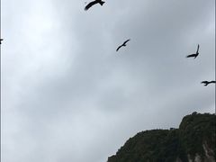 ��܂���񂳂�̃}�����r���[���[�Ȃ񂲂��ւ̓��e�ʐ^1