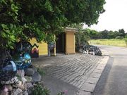 ݂񂳂̃p̖؂̓eʐ^1