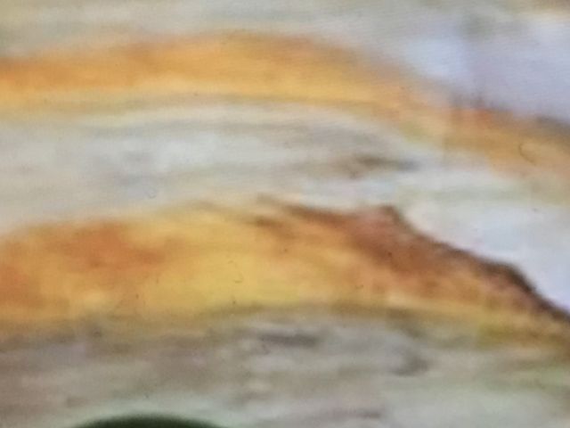 �X�C�[�c���l�C������_�h�g�[���R�[�q�[�V���b�v  �{���p�e�B�I�X