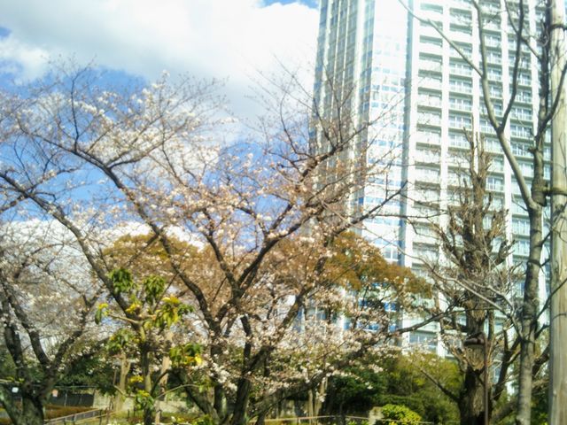 �w�Ō����y�ё��㎛�����̍��x�B_�Ō����y�ё��㎛�����̍�