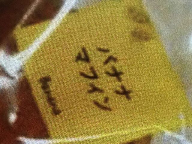 hg[R[q[_hg[R[q[VbvJR_˓X