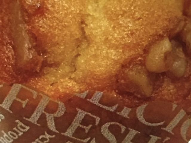 _hg[R[q[Vbv ɉwOXiGOURMET COFFEE DOUTORj