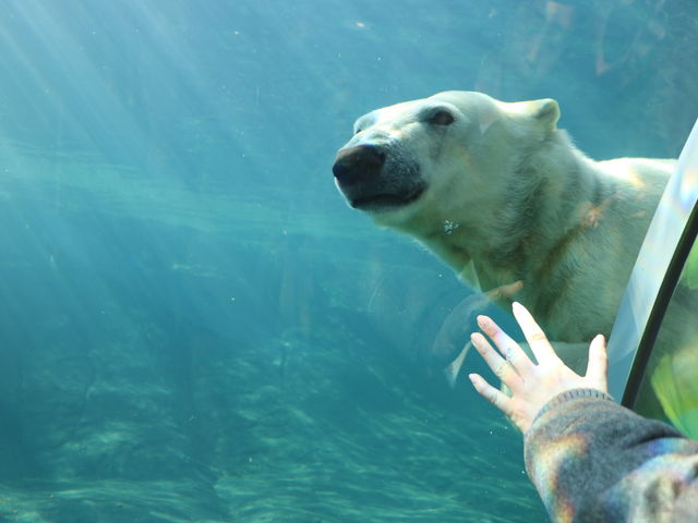 �~�R������