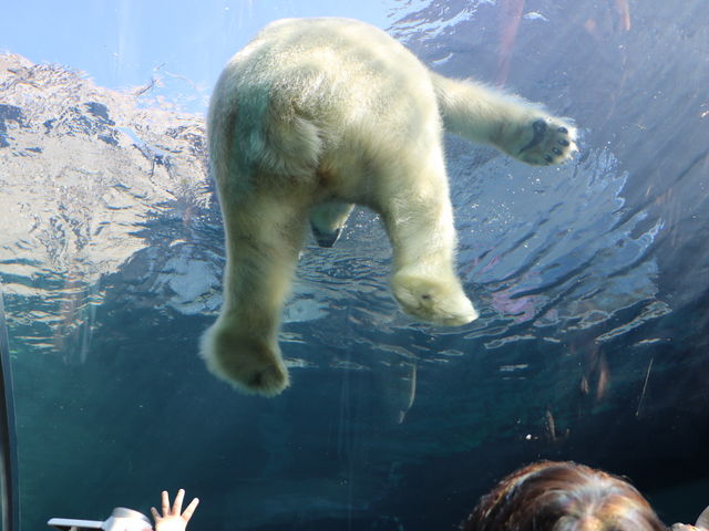 �~�R������