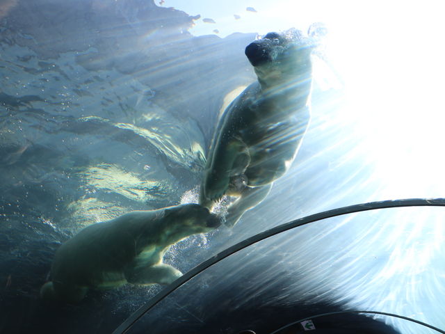 �~�R������