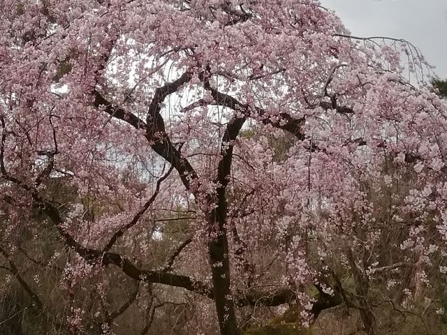 �߉q��_���s�䏊