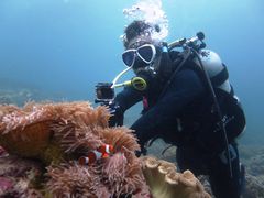 Ƃ̃sAn@_CrOT[rXւ̓eʐ^1