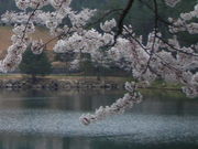 kenken̉H΃Lv̓eʐ^1