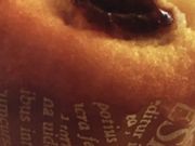 }J̃hg[R[q[Vbv@ ֐낤a@X̓eʐ^1