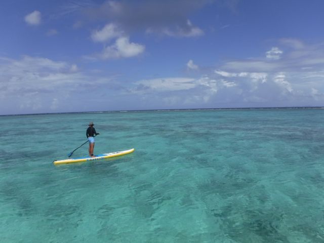 �ǂ��܂ł������ʂ������C�I_�O���C�h�p�h���T�[�r�X