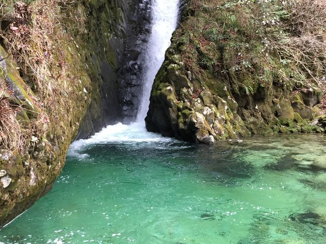 �������ޔ������Ƃ������t���҂�����ł��B_�������˂Ƃ�