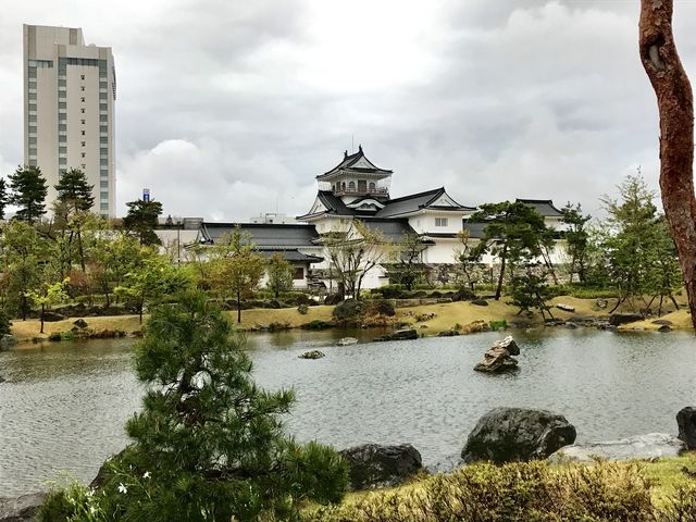 ����V���D