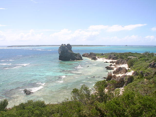 �ɐ����E�M�^���W�]��A_�M�^���W�]��