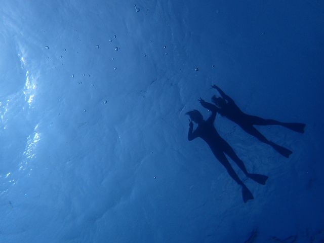 ��[���I�f�G�Ȏʐ^_����ف[���X