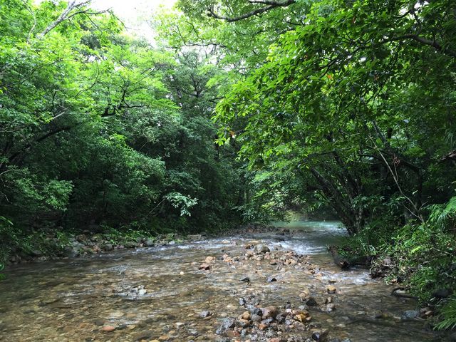 ���\�E�Ì��x�o�R���@����ȂƂ���10�񂮂炢�n��B_�Ì��x