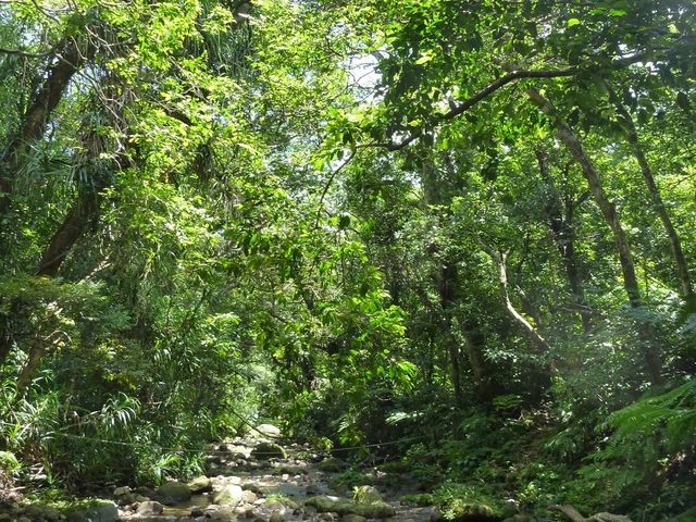 ���\�E�Ì��x�o�R���A����ȂƂ���10�񂮂炢�n��B_�Ì��x