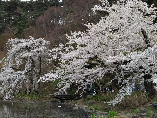 臥竜公園