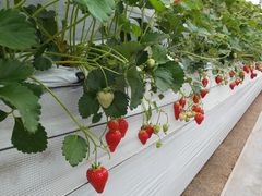 ͂Ȃڂ̂ςς䕂ւ̓eʐ^1