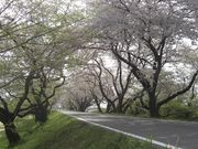 ߂ڂڂ̖ؑ]ij̓eʐ^1