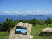 �����񂳂�̂ɂ��R�W�]��̓��e�ʐ^3