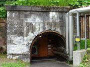 V񂳂̋kY[Yz̒YB̓eʐ^1