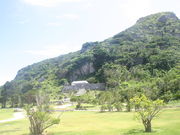 �����񂳂�̋ʌ�a�̓��e�ʐ^1