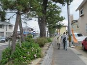 ߋT|~̋X؂̓eʐ^2