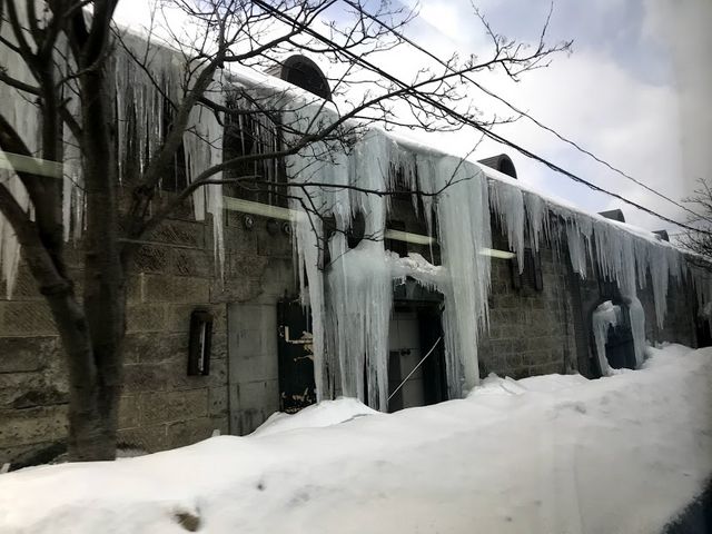 ���_�^�͂ƐΑ��q�ɌQ