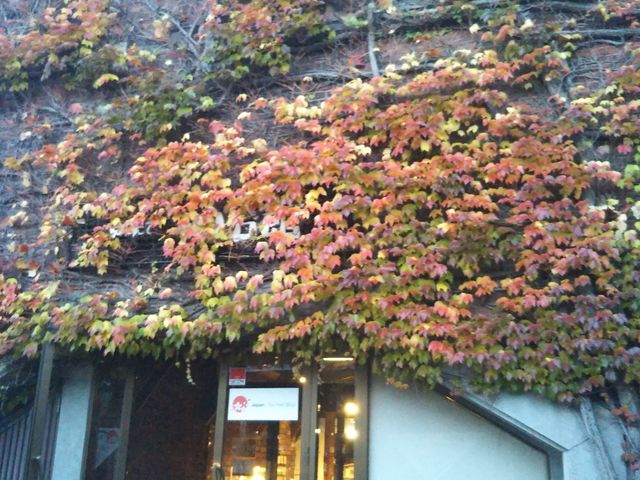 �U���_BAY�͂�����