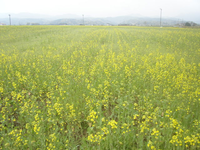 �炫�n��_���̉w ����悵�Ƃ�