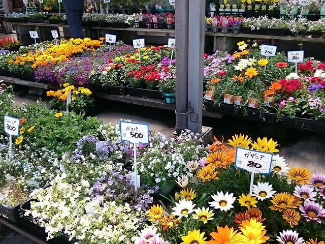 ���������ނ�����܂�_����ߗΉԃZ���^�[