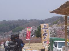 花見山公園の口コミ一覧 2ページ目 じゃらんnet