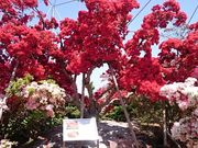 Xkv̋vĎsEZ^[̓eʐ^1