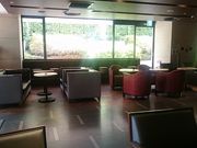 PotĩT}NJtFaJʂXiCHOCO CRO SAINTMARC CAFEj̓eʐ^1