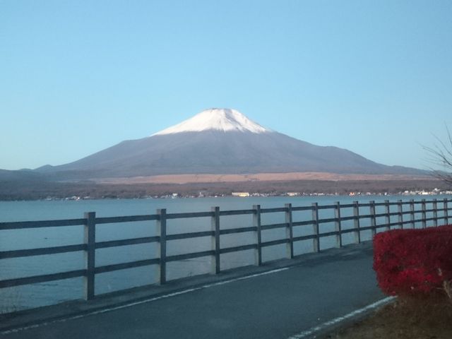 Ă̕xmRƃTCNO[h_TCNO[h